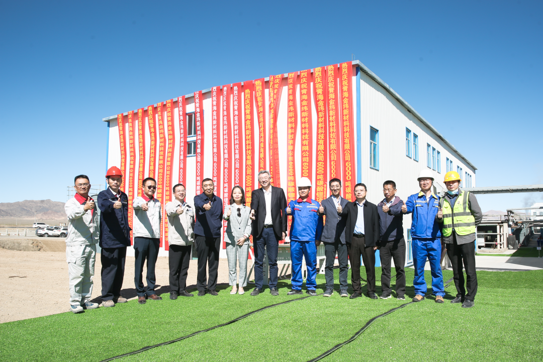 聚焦上半年正负极材料项目动态分析!格林美/中伟股份/石大胜华/LG化学收获长单.png 聚焦上半年正负极材料项目动态分析!格林美/中伟股份/石大胜华/LG化学收获长单.png