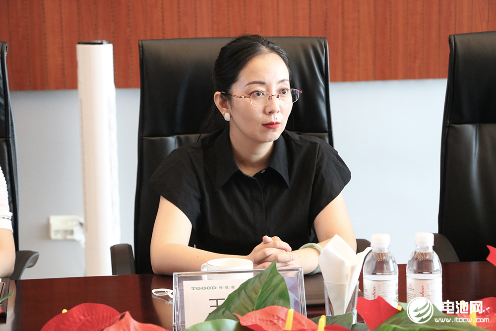 于清教一行到访特锐德集团 聚焦预制舱式模块化变电站推广.png 于清教一行到访特锐德集团 聚焦预制舱式模块化变电站推广.png