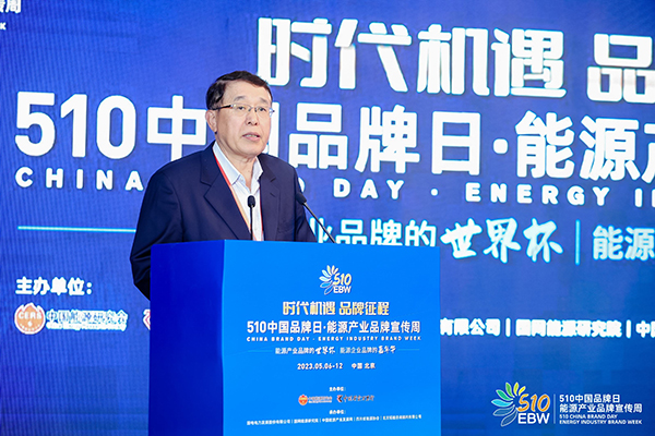 我国多个能源细分产业规模全球居首 业内大咖共议品牌建设之策 我国多个能源细分产业规模全球居首 业内大咖共议品牌建设之策