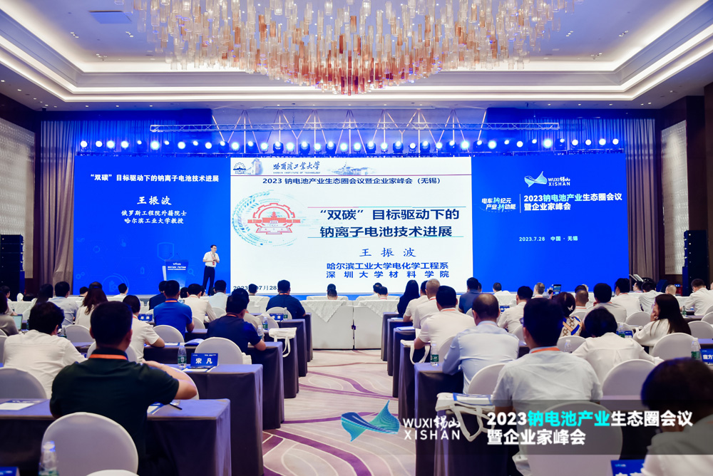 王振波院士:钠电补充锂电 材料体系多线并存 王振波院士:钠电补充锂电 材料体系多线并存