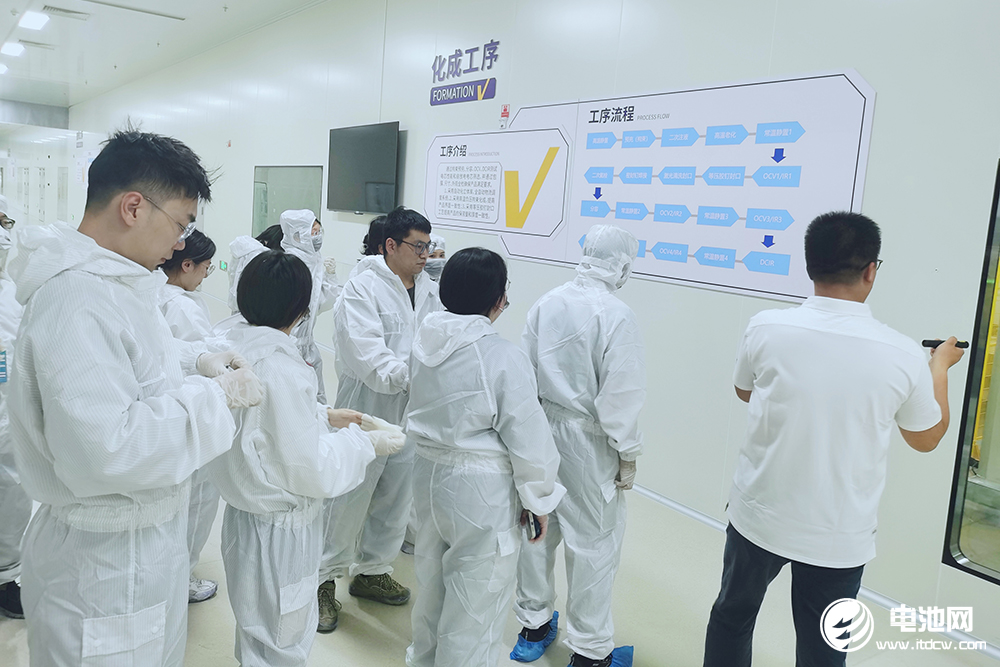 探秘蜂巢能源首个飞叠短刀基地 杨红新：电池行业内卷是必然