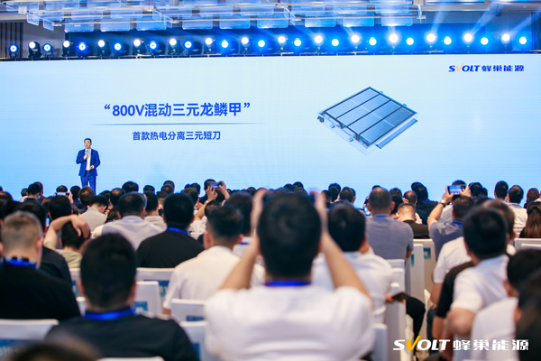 动力电池,锂电池,蜂巢能源 动力电池,锂电池,蜂巢能源