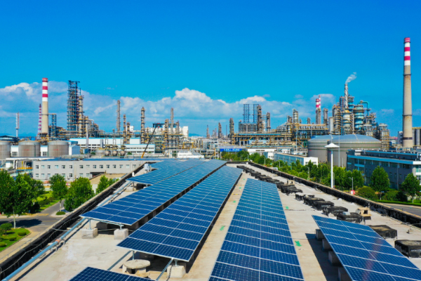 中国石化青岛炼化光伏项目 中国石化青岛炼化光伏项目