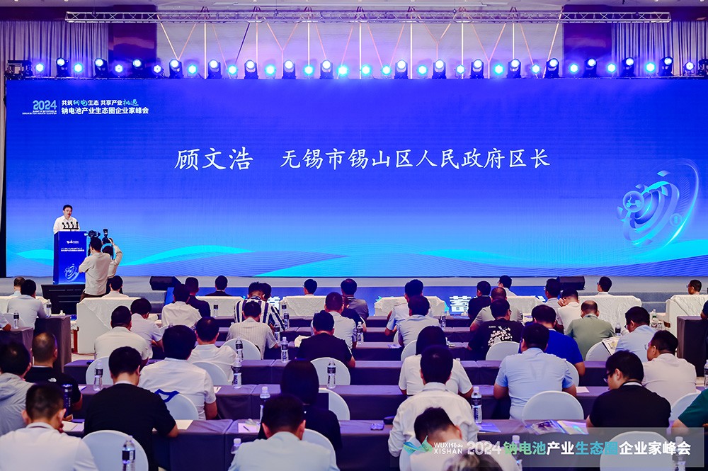 顾文浩：培育新质生产力 加快“钠电+电动两轮车”应用示范