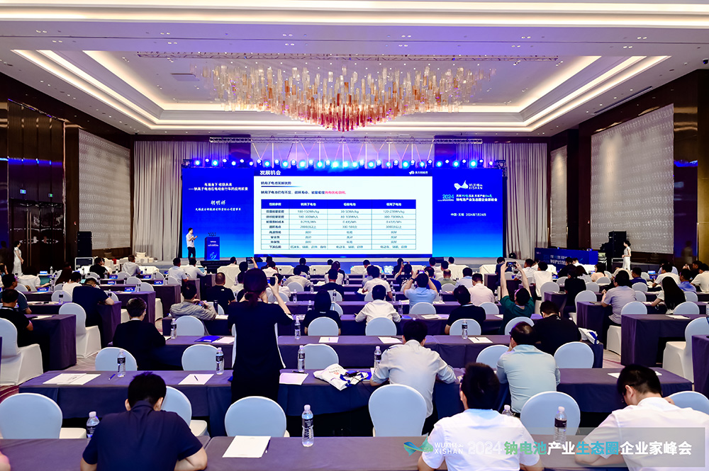 钠电池,电动两轮车,盘古新能源 钠电池,电动两轮车,盘古新能源