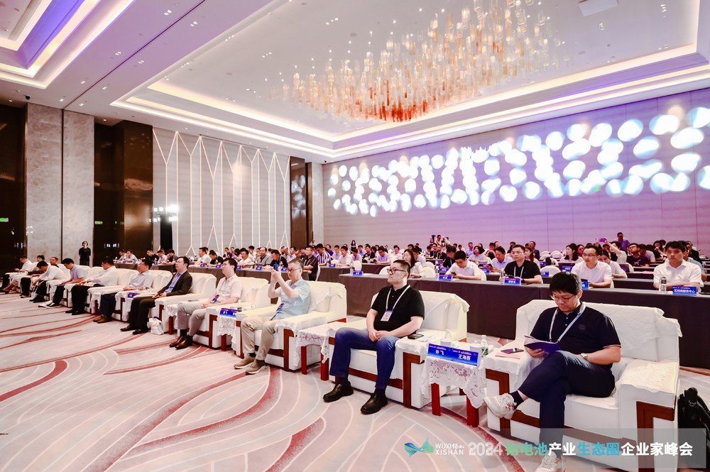 钠电池,企业家峰会,钠电材料 钠电池,企业家峰会,钠电材料