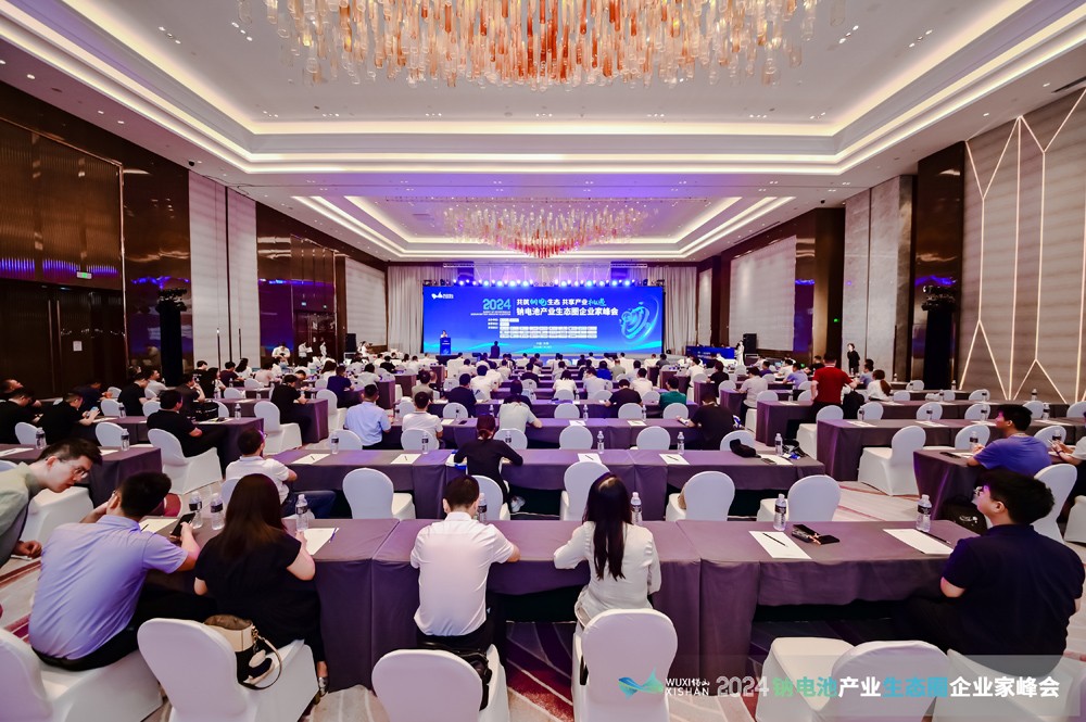 钠电池,企业家峰会,钠电材料 钠电池,企业家峰会,钠电材料