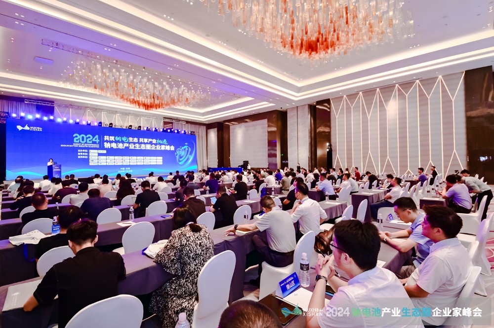 钠电池,企业家峰会,钠电材料 钠电池,企业家峰会,钠电材料