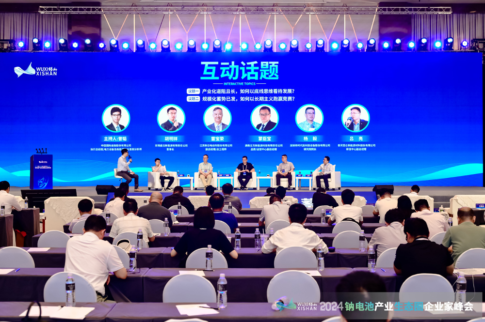 钠电池,企业家峰会,钠电材料 钠电池,企业家峰会,钠电材料