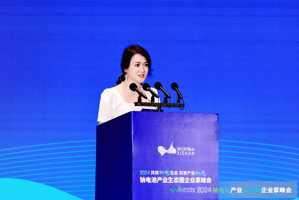 钠电池,企业家峰会,钠电材料 钠电池,企业家峰会,钠电材料