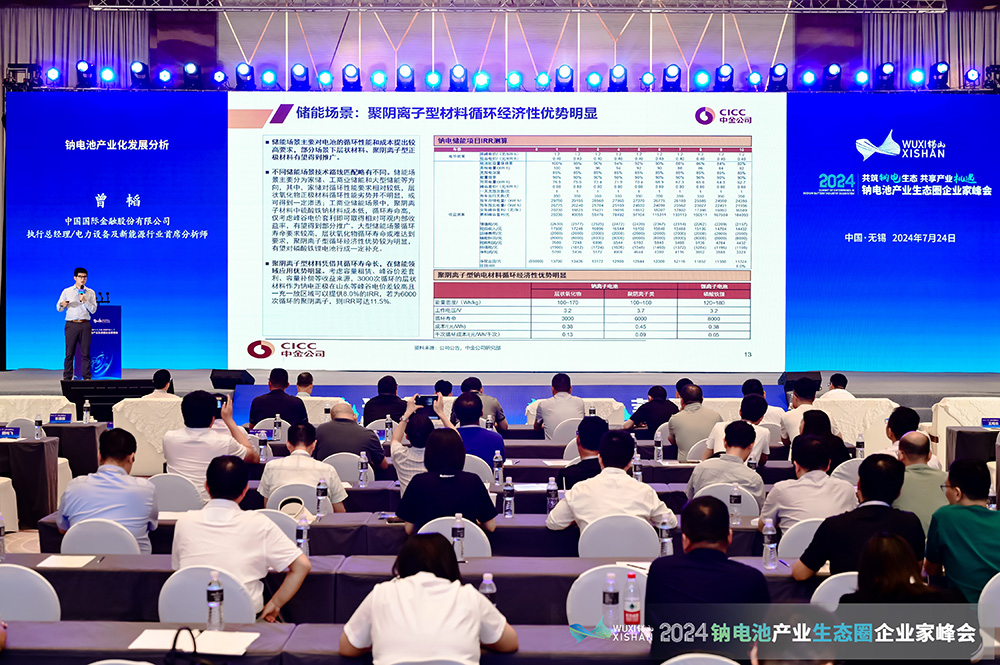 新能源,钠电池,曾韬 新能源,钠电池,曾韬