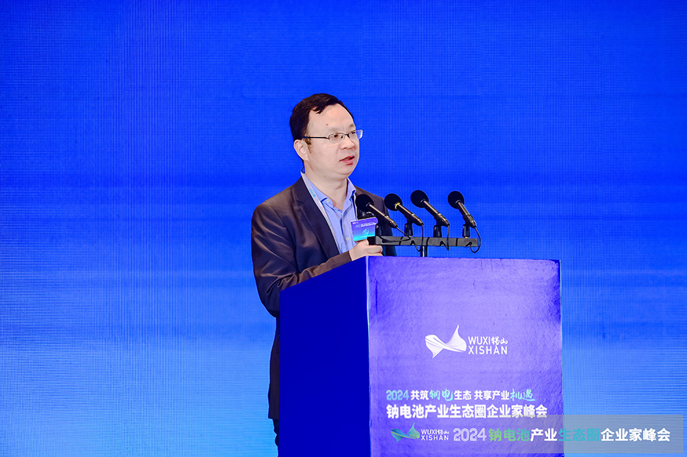 国家发展改革委能源研究所可再生能源中心主任赵勇强 国家发展改革委能源研究所可再生能源中心主任赵勇强