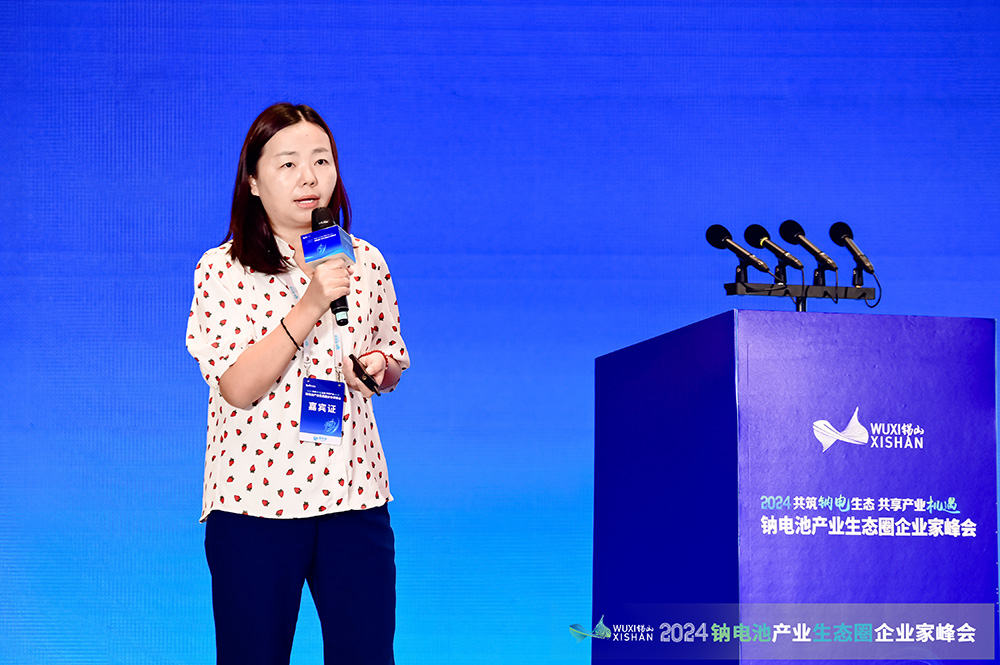 深圳中兴新材技术股份有限公司副总经理、研究院院长张辉 深圳中兴新材技术股份有限公司副总经理、研究院院长张辉