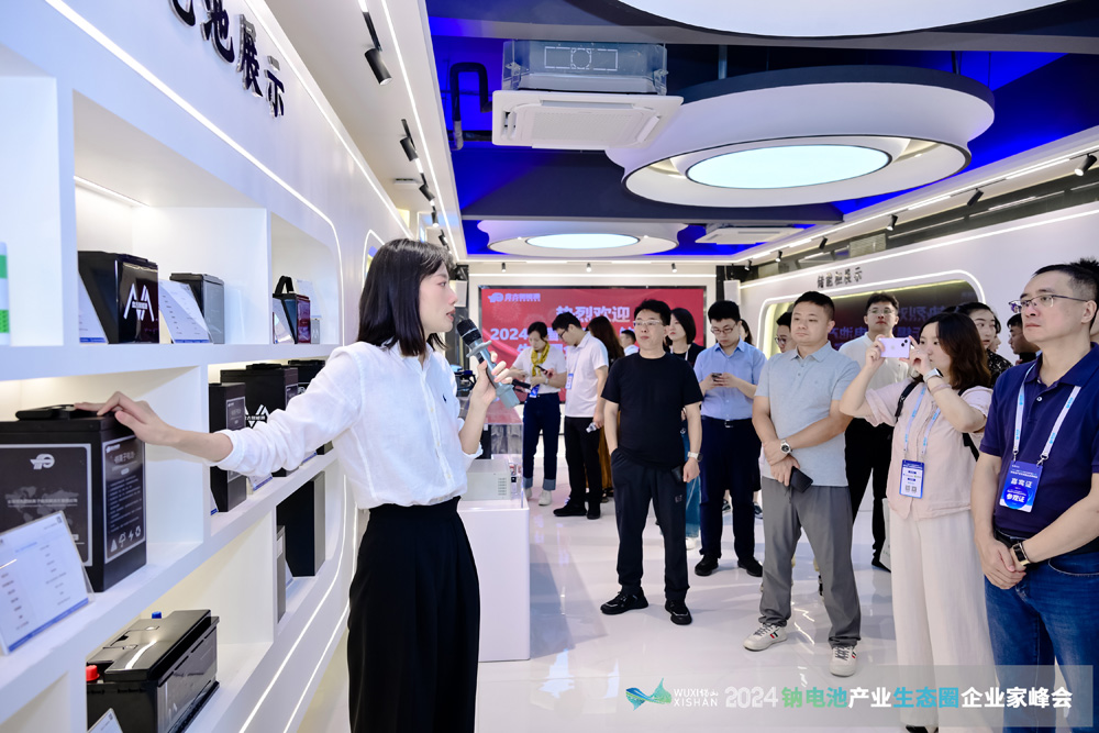 新能源,钠电池,电动两轮车