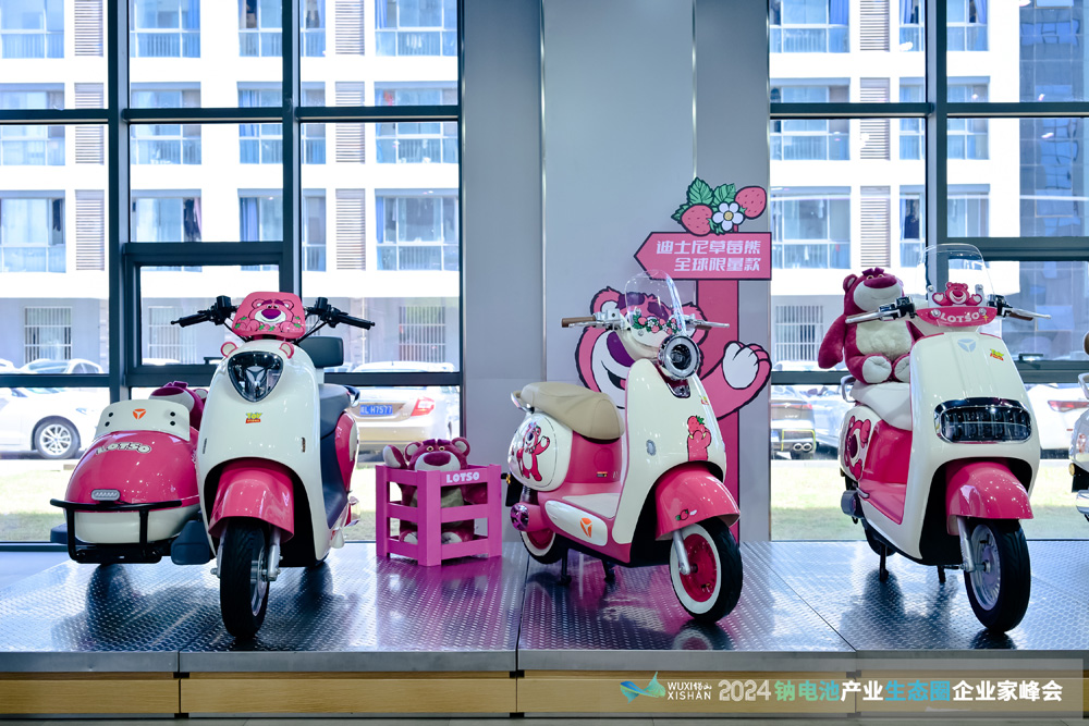 新能源,钠电池,电动两轮车