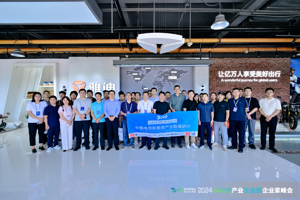 新能源,钠电池,电动两轮车