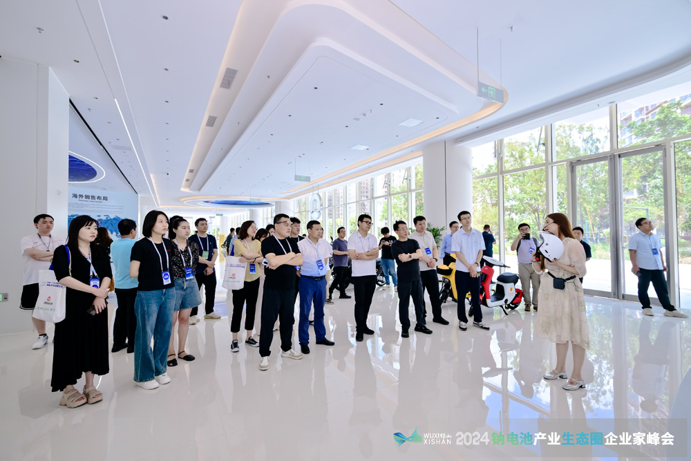 新能源,钠电池,电动两轮车