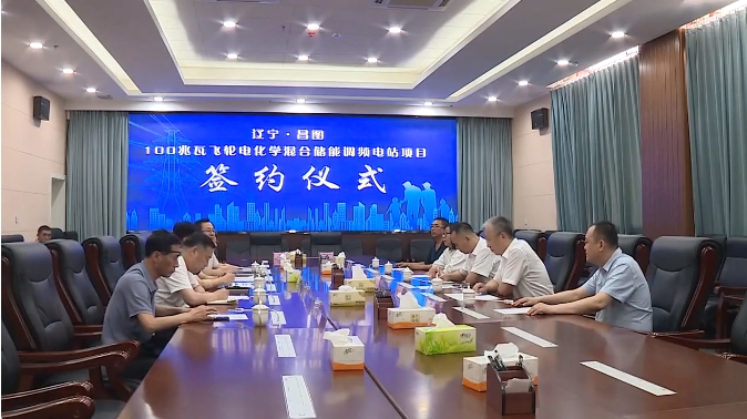 储能,电化学储能,东坤资产 储能,电化学储能,东坤资产