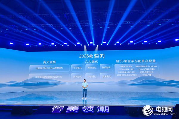 新能源汽车,比亚迪,海豚 新能源汽车,比亚迪,海豚