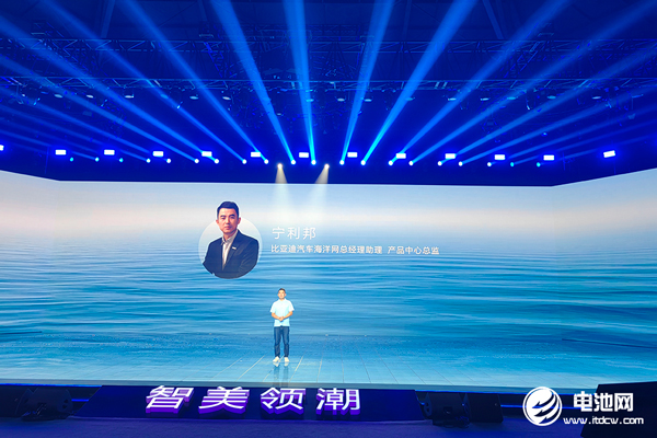 新能源汽车,比亚迪,海豚 新能源汽车,比亚迪,海豚