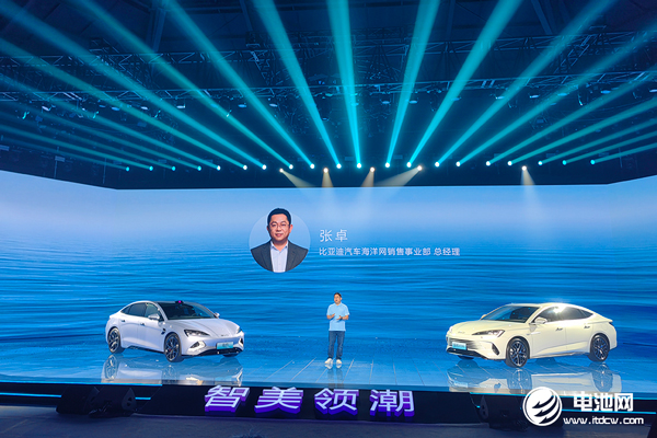 新能源汽车,比亚迪,海豚 新能源汽车,比亚迪,海豚