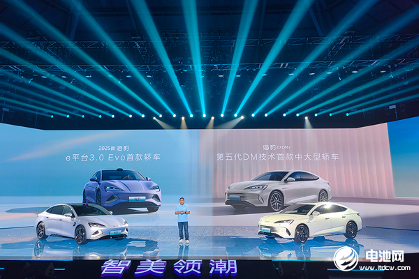 新能源汽车,比亚迪,海豚 新能源汽车,比亚迪,海豚