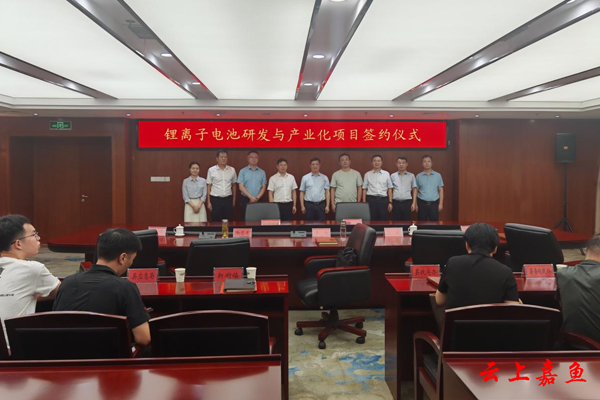 锂电池,锂离子电池,镁鑫新能源 锂电池,锂离子电池,镁鑫新能源