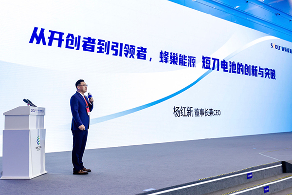 锂电池,杨红新,短刀电池 锂电池,杨红新,短刀电池