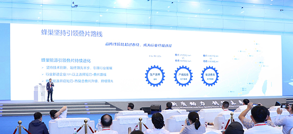 锂电池,杨红新,短刀电池 锂电池,杨红新,短刀电池