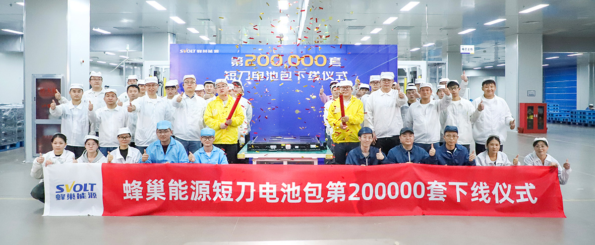 动力电池,蜂巢能源,短刀电池 动力电池,蜂巢能源,短刀电池