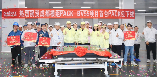 蜂巢能源,储能电芯,短刀电池