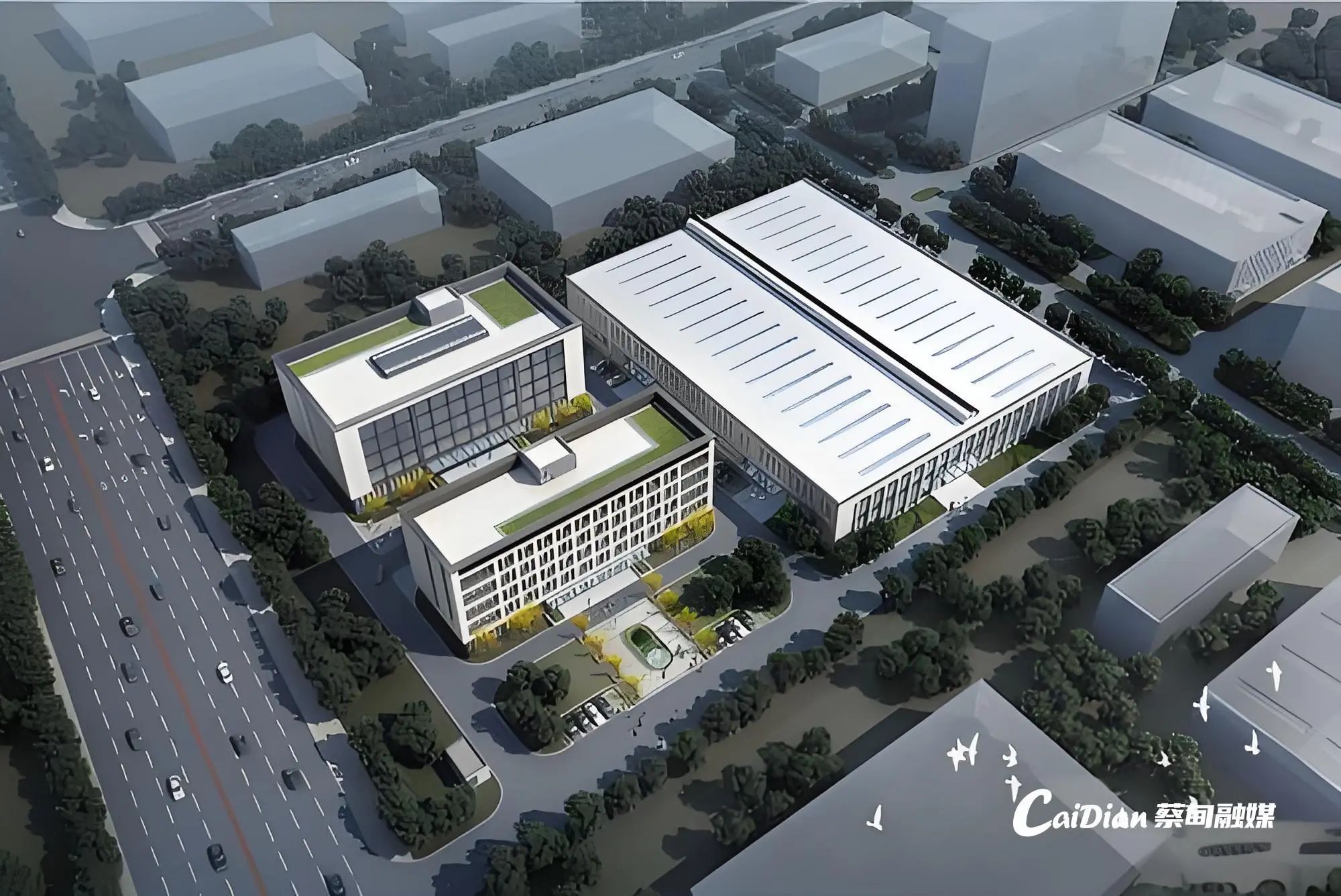 图片来源:蔡甸融媒 图片来源:蔡甸融媒