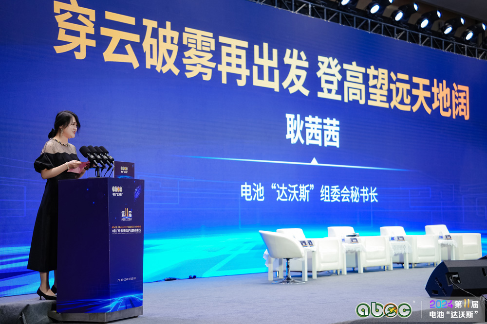 新能源汽车,动力电池,锂电池,耿茜茜 新能源汽车,动力电池,锂电池,耿茜茜