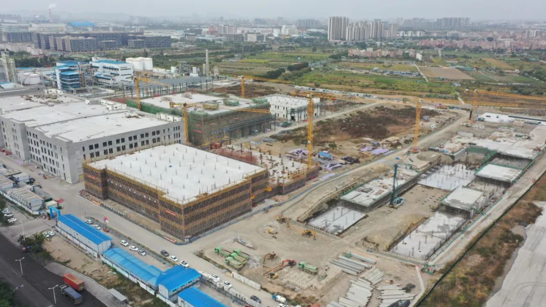 图/广东东莞麻涌融媒体中心 图/广东东莞麻涌融媒体中心