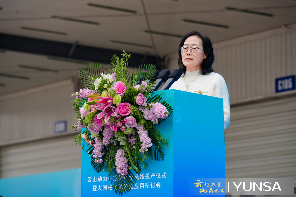 中国汽车动力电池产业创新联盟 秘书长许艳华 中国汽车动力电池产业创新联盟 秘书长许艳华