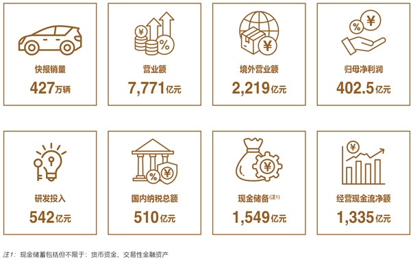 比亚迪2024年财报核心经营数据