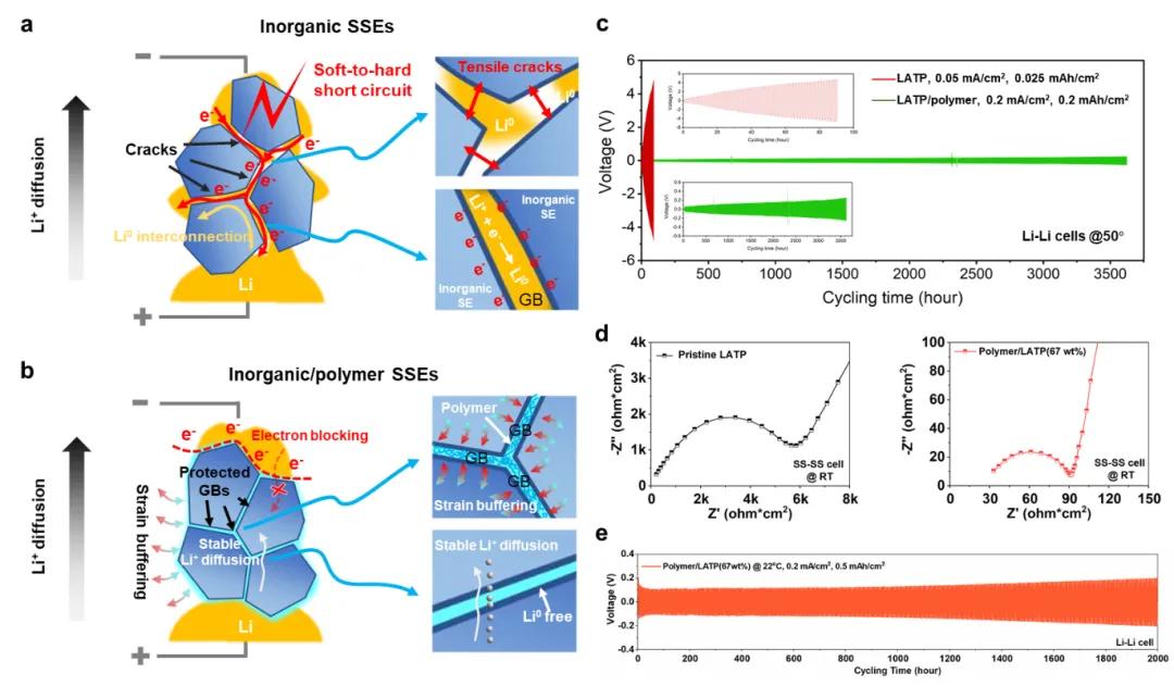 图1. 无机固态电解质中的软短路—硬短路转变机制示意图以及其抑制机理 图1. 无机固态电解质中的软短路—硬短路转变机制示意图以及其抑制机理