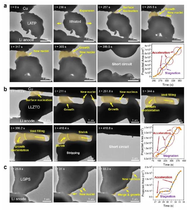 图2. 锂金属析出—电解质短路动力学的原位电镜观察 图2. 锂金属析出—电解质短路动力学的原位电镜观察
