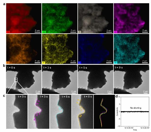 图4. 有机—无机复合固态电解质中的稳定锂离子传输 图4. 有机—无机复合固态电解质中的稳定锂离子传输