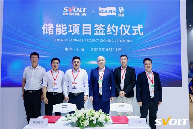 锂电池,储能,蜂巢能源 锂电池,储能,蜂巢能源