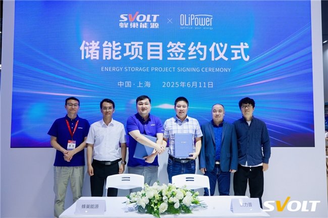 锂电池,储能,蜂巢能源 锂电池,储能,蜂巢能源