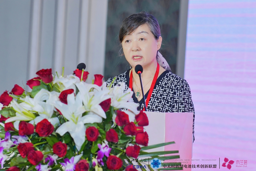 保力新能源科技股份有限公司董事长高保清 保力新能源科技股份有限公司董事长高保清