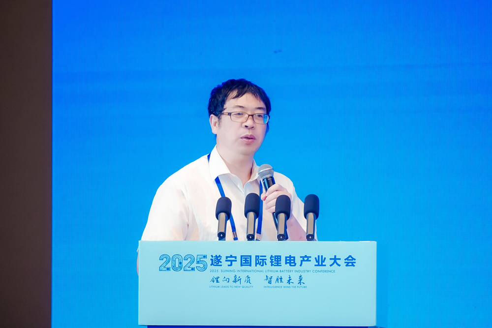 非洲科学院院士/德国萨克森科学院通讯院士/东南大学能源与环境学院教授/东南大学新一代储能中心执行主任 吴宇平 非洲科学院院士/德国萨克森科学院通讯院士/东南大学能源与环境学院教授/东南大学新一代储能中心执行主任 吴宇平