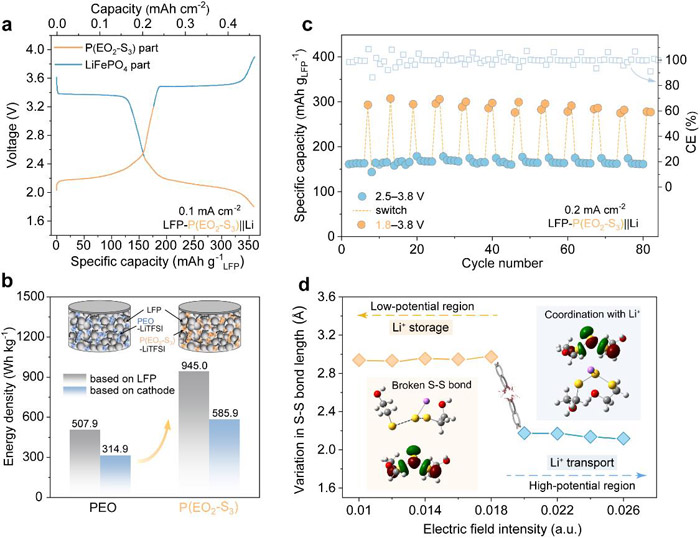 图2. 一体化聚合物的电化学性能及电位依赖的离子传输-储存机制 图2. 一体化聚合物的电化学性能及电位依赖的离子传输-储存机制