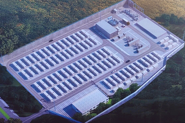 图片来源:隆阳发布 图片来源:隆阳发布