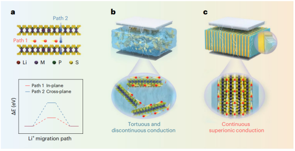 PA-LiMPS/PEO复合电解质的结构设计
