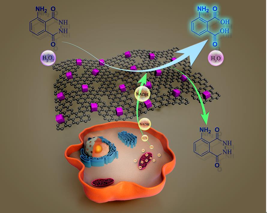 兰州化物所在多孔石墨烯的制备及应用方