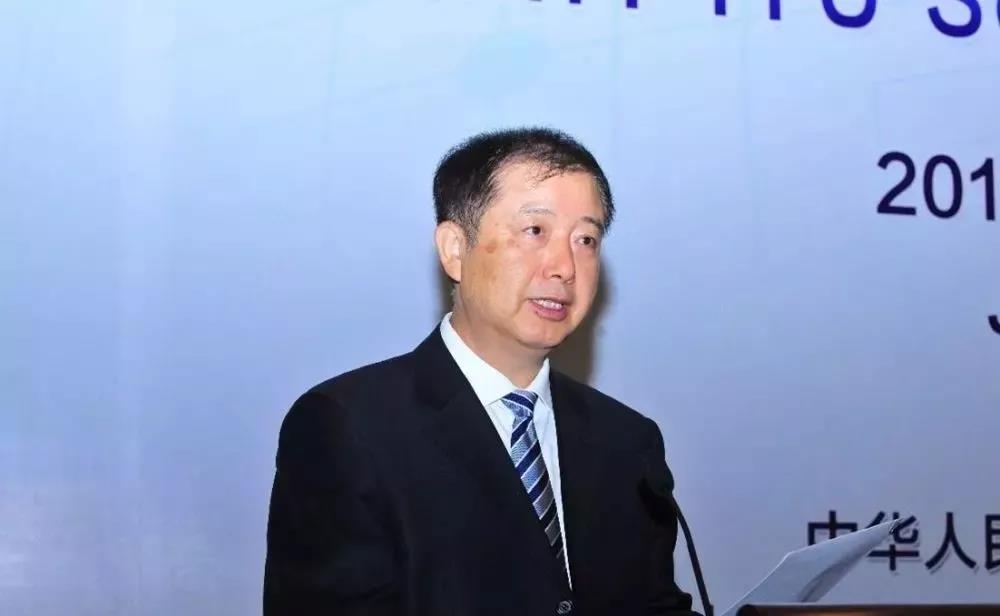 工信部原副部长刘利华：推动新能源汽车