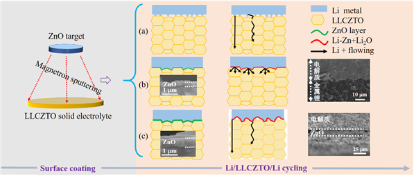 合肥研究院在全固态锂电池界面过渡层研