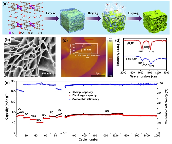 深圳先进院开发出基于有机负极的钾基双离子电池